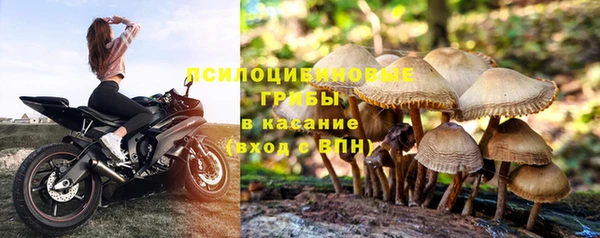 герыч Белокуриха