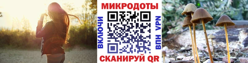 Псилоцибиновые грибы прущие грибы  blacksprut ссылки  darknet клад  Верхотурье 